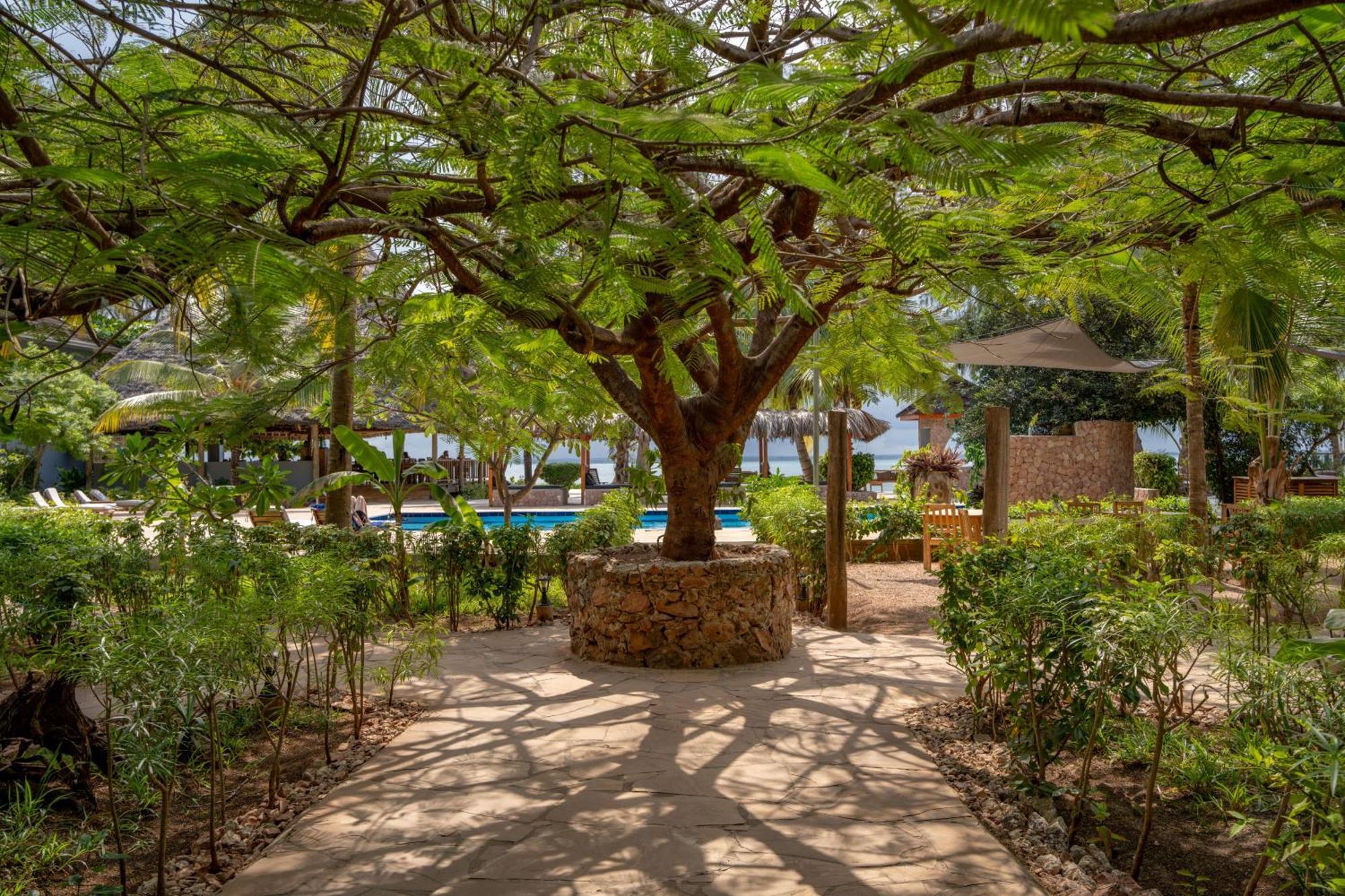 มิชัมวี ซันเซ็ต เบย์ รีสอร์ต Hotel Michamvi Kae ภายนอก รูปภาพ